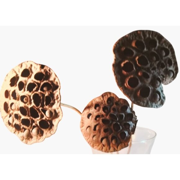 Dried Lotus Pods Stems Crafts Home Floral Decor Natural Brown Lot 3 - Picture 3 of 8
